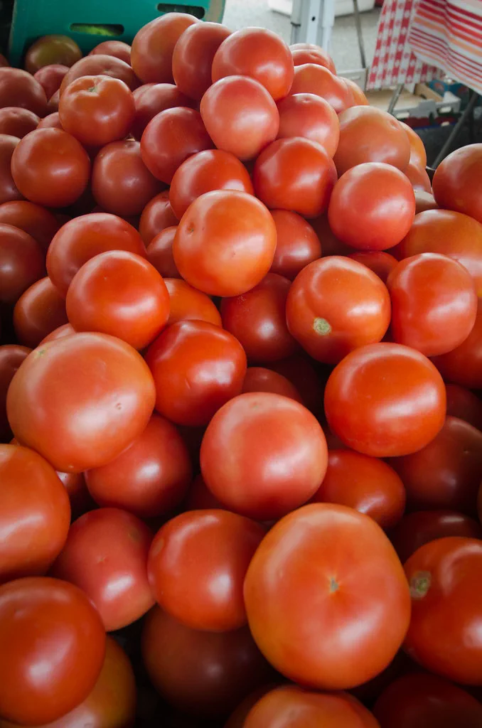 Best Tomato Varieties for 2026